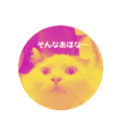 猫達のごあいさつ(プライベート用)（個別スタンプ：5）