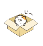 もちねこ 1（個別スタンプ：5）