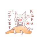 まぁるい！のねこ！（個別スタンプ：1）