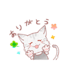 まぁるい！のねこ！（個別スタンプ：6）