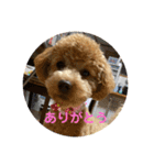 cocoa1004（個別スタンプ：2）