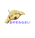 cocoa1004（個別スタンプ：3）