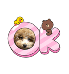 cocoa1004（個別スタンプ：4）