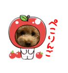 cocoa1004（個別スタンプ：5）