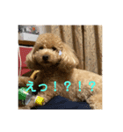 cocoa1004（個別スタンプ：8）
