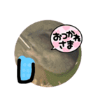 こんにちは☀️ハムちゃん（個別スタンプ：14）