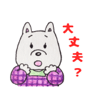 井戸端わん子（個別スタンプ：25）