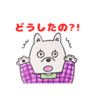 井戸端わん子（個別スタンプ：37）