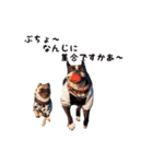 SWBC（個別スタンプ：7）