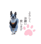 SWBC（個別スタンプ：11）