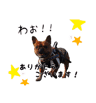 SWBC（個別スタンプ：17）