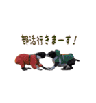 SWBC（個別スタンプ：18）
