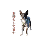 SWBC（個別スタンプ：25）
