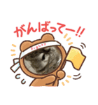 チンチラLINEスタンプver.NOAHちゃん（個別スタンプ：5）