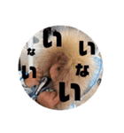 2歳eito∞語録（個別スタンプ：1）