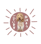 ♡みほ様（個別スタンプ：6）