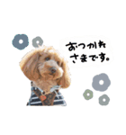 ♡みほ様（個別スタンプ：7）