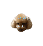 cocoa1004-2（個別スタンプ：1）