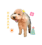 cocoa1004-2（個別スタンプ：11）