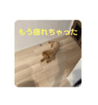 cocoa1004-2（個別スタンプ：15）