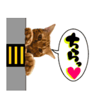 やさかさんちのはるちゃん（個別スタンプ：7）