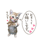 やさかさんちのはるちゃん（個別スタンプ：13）