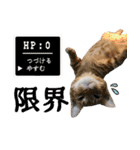 やさかさんちのはるちゃん（個別スタンプ：19）