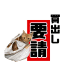 やさかさんちのはるちゃん（個別スタンプ：21）