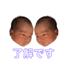 うまれたて！りくたん（個別スタンプ：3）