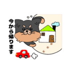 ロングコートチワワのれおくん（個別スタンプ：5）