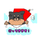 ロングコートチワワのれおくん（個別スタンプ：8）