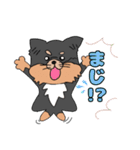 ロングコートチワワのれおくん（個別スタンプ：10）
