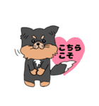 ロングコートチワワのれおくん（個別スタンプ：13）