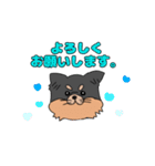 ロングコートチワワのれおくん（個別スタンプ：21）