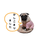 パグのめいちゃん丁寧なことば（個別スタンプ：6）