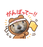 リチャードソンジリスのくるみ（個別スタンプ：5）