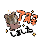 リチャードソンジリスのくるみ（個別スタンプ：6）