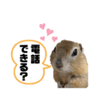 リチャードソンジリスのくるみ（個別スタンプ：7）