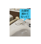 しまやさーん（個別スタンプ：32）