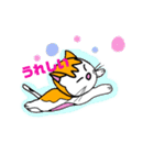 そらてん3（個別スタンプ：13）