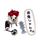 キキララ節分スタンプ（個別スタンプ：13）