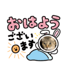 可愛いセナちゃんꕤ（個別スタンプ：1）
