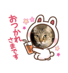 可愛いセナちゃんꕤ（個別スタンプ：2）