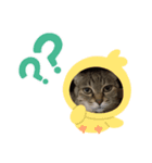 可愛いセナちゃんꕤ（個別スタンプ：5）