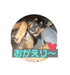 4つ目のラッキーちゃん4（個別スタンプ：3）