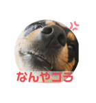 4つ目のラッキーちゃん4（個別スタンプ：8）