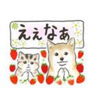柴犬と猫ちゃんの岡山弁スタンプ（個別スタンプ：6）