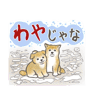柴犬と猫ちゃんの岡山弁スタンプ（個別スタンプ：16）