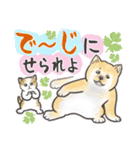 柴犬と猫ちゃんの岡山弁スタンプ（個別スタンプ：20）