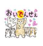 柴犬と猫ちゃんの岡山弁スタンプ（個別スタンプ：25）